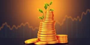 Calculadora de juros compostos com projeção realista